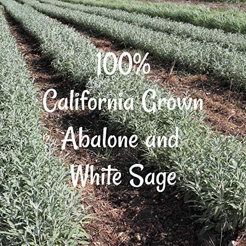 Happy Home Energy Kit - White Sage Smudge Stick Bundle for Burning, Smudges, Incense with Abalone Shell - Image 7